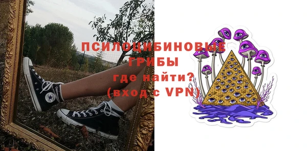 ПСИЛОЦИБИНОВЫЕ ГРИБЫ Белоозёрский