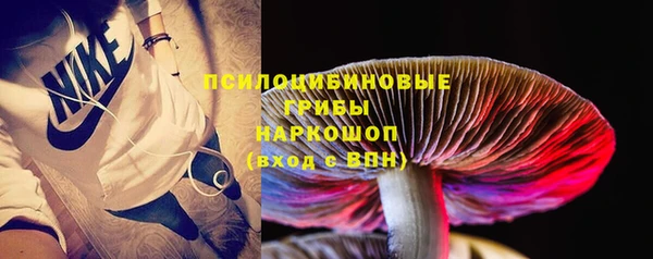 ПСИЛОЦИБИНОВЫЕ ГРИБЫ Белоозёрский