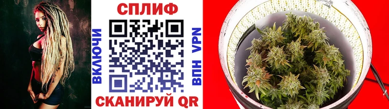 МАРИХУАНА THC 21% Коркино